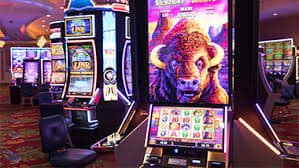 vix bet